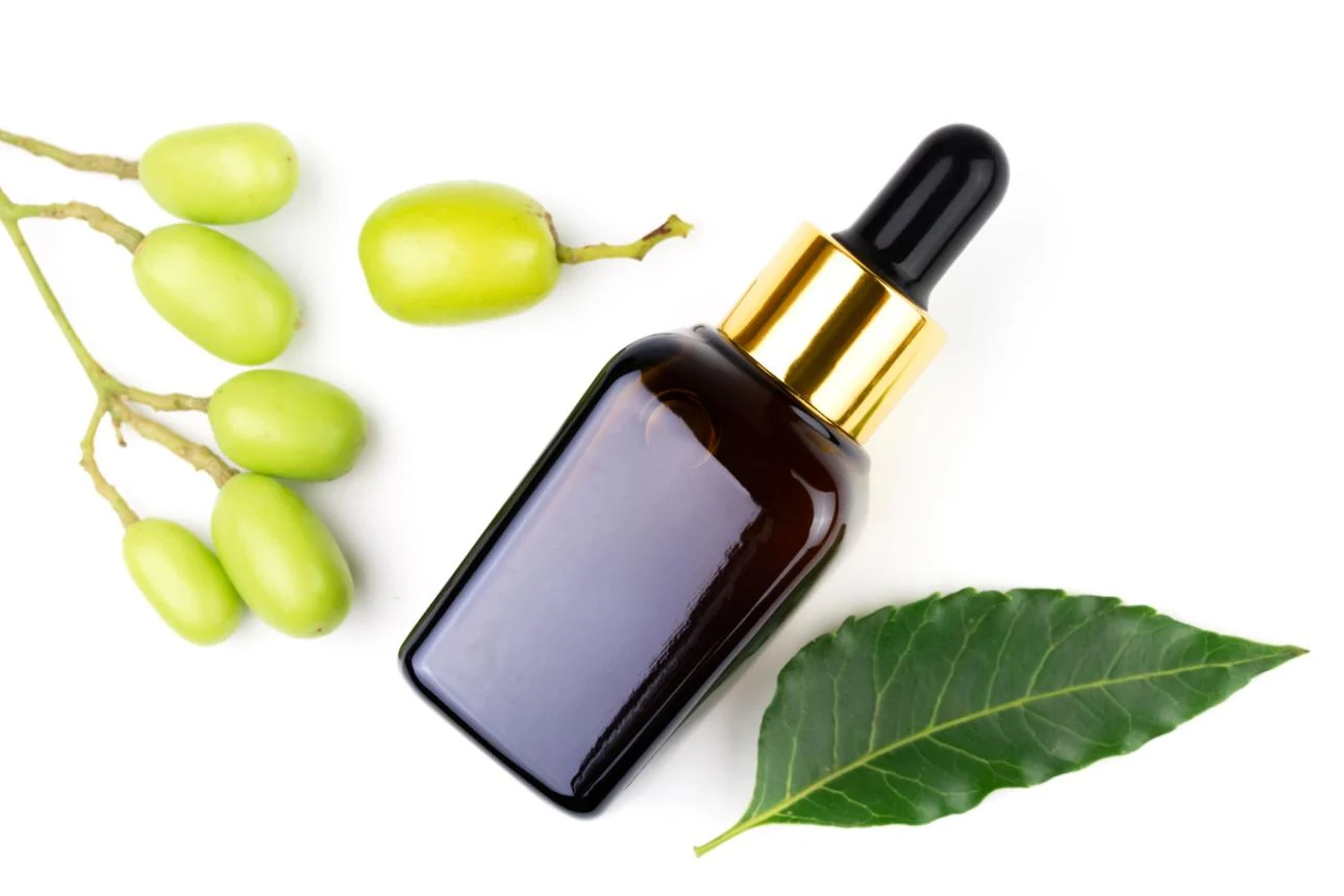 Neem Oil (Azadirachta indica) used in DADOL Skin Ointment